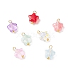 Glass Charms PALLOY-JF01731-1