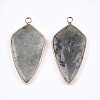 Natural Labradorite Pendants G-T112-25A-2