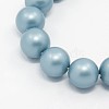 Round Shell Pearl Frosted Beads Strands X-BSHE-I002-6mm-323-1