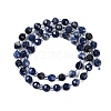 Natural Lapis Lazuli Beads Strands G-G182-B01-01-3