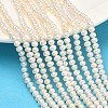 Natural Cultured Freshwater Pearl Beads Strands PEAR-L034-06C-1