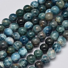 Round Natural Apatite Beads Strands G-K068-02-8mm
