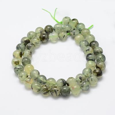 Natural Prehnite Beads Strands G-P322-48-8mm-1