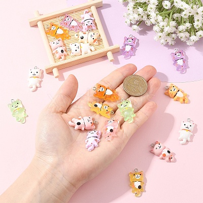 20Pcs 2 Styles Opaque Resin Pendants RESI-YW0005-29-1