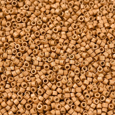 MIYUKI Delica Beads SEED-J020-DB1833F-1