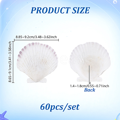 60Pcs Natural Shell Jewelry Decorative Plate AJEW-GA0009-64C-1