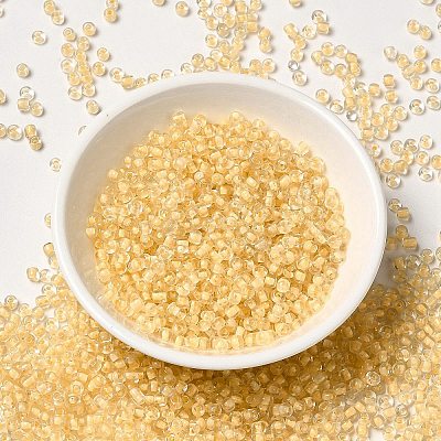 8/0 Transparent Glass Seed Beads SEED-F003-03B-14-1