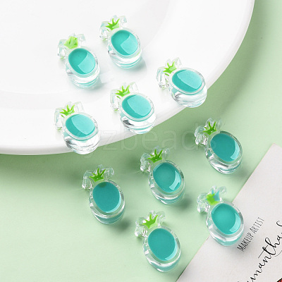 Transparent Enamel Acrylic Beads TACR-S155-002G-1