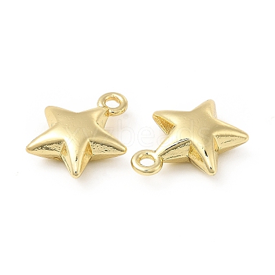 Rack Plating Alloy Charms FIND-G044-03LG-1