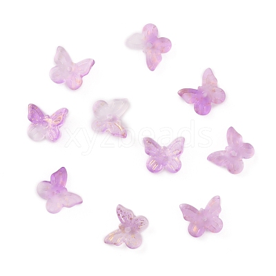 Transparent Glass Beads GLAA-CJC0001-13B-1