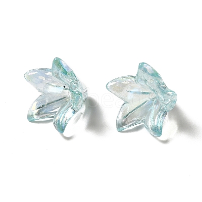 Transparent Acrylic Bead Caps OACR-H016-05E-1