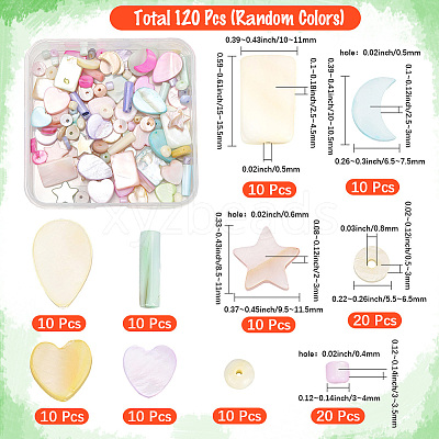 120Pcs Macaron Color Natural Shell Beads SHEL-SC0001-71-1