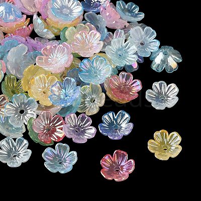 Acrylic Bead Caps OACR-G057-01B-1