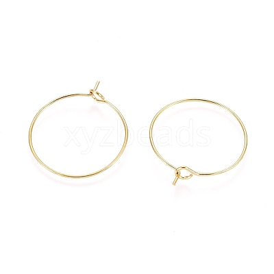 Ion Plating(IP) 316L Surgical Stainless Steel Hoop Earring Findings STAS-D164-02G-A-1