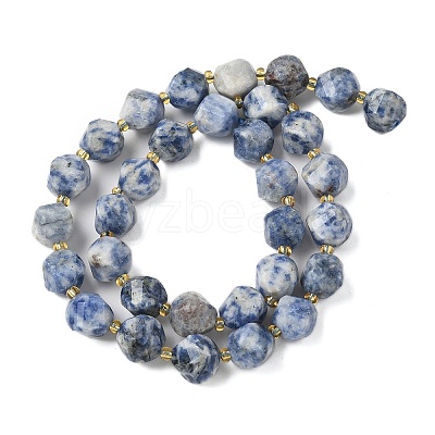Natural Blue Spot Jasper Beads Strands G-U023-A05-01-1