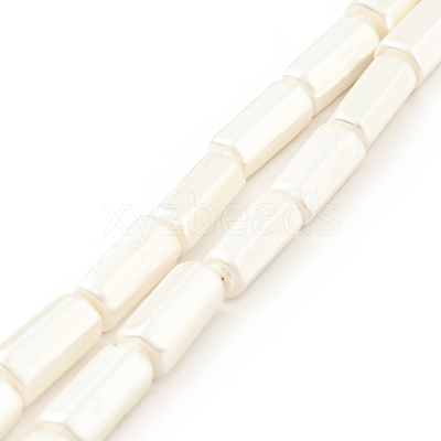 Electroplated Shell Pearl Beads Strands BSHE-G027-08A-1