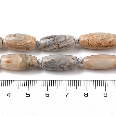 Natural Mexican Lace Agate Beads Strands G-NH0010-I03-01-1