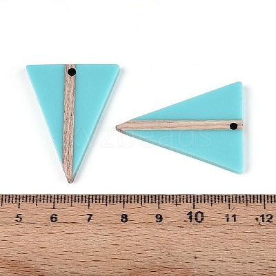 Opaque Resin & Wood Pendants RESI-T057-43A-1