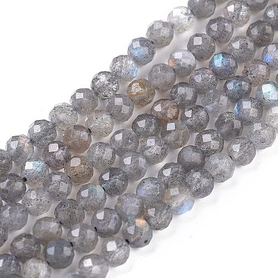 Natural Labradorite Beads Strands G-R475-025C-1
