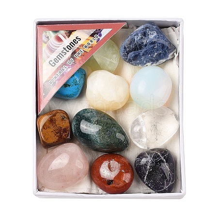 Nuggets Natural & Synthetic Mixed Gemstone Tumbled Polished Stones Collections AJEW-Q152-04-1