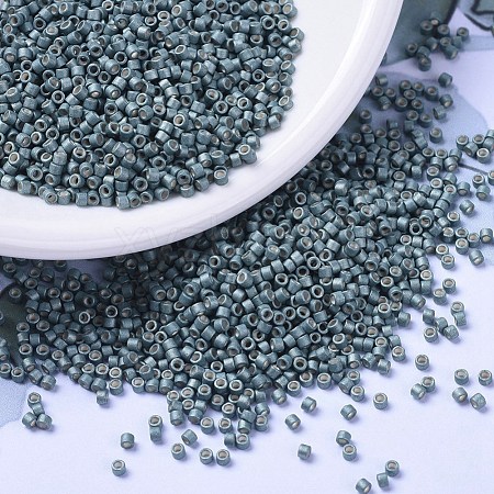 MIYUKI Delica Beads SEED-X0054-DB1172-1