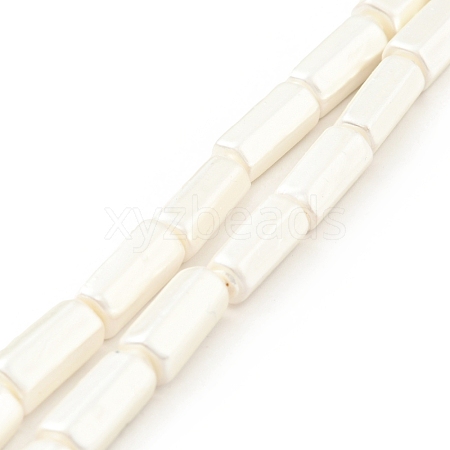 Electroplated Shell Pearl Beads Strands BSHE-G027-08A-1