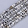 Natural Rainbow Moonstone Beads Strands X-G-R475-025B-1