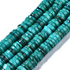 Natural Freshwater Shell Beads Strands SHEL-Q024-001D-1