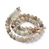 Natural Quartz Beads Strands G-P488-04B-3