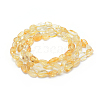 Natural Citrine Beads Strands G-P331-03A-2