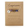 667 Stainless Steel with Natural Amethyst & Natural Tiger Eye & Natural Lapis Lazuli Chip Pendant Necklaces FS-WGFED6E-05-1