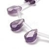 Natural Amethyst Beads Strands G-Q167-A04-01-3