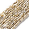 Natural Freshwater Shell Beads Strands SSHEL-B002-17-1