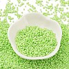 Baking Paint Glass Seed Beads X-SEED-S042-05B-65-2