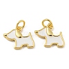 Brass Enamel Charms KK-E093-01G-01-1