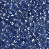 6/0 Glass Seed Beads X2-SEED-A005-4mm-26-2