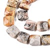 Natural Crazy Agate Beads Strands G-T138-164-3