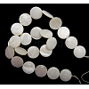 Natural Freshwater Shell Beads X-S00C20A2-2