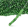 6/0 Round Silver Lined Round Hole Glass Seed Beads X-SEED-A005-4mm-27-3