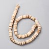 Natural Freshwater Shell Beads Strands SHEL-C001-05-2