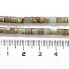 Natural Aqua Terra Jasper Beads Strands G-F765-F03-01-5