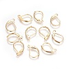 304 Stainless Steel Leverback Earrings Findings X-STAS-P227-47G-1