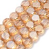 Electroplate Glass Beads Strands EGLA-C010-01A-PL02-1