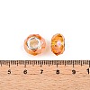 Baking Paint Transparent Glass European Beads GPDL-N004-C14mm-A01-3