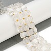 Natural Quartz Crystal Beads Strands G-G053-B15-01C-2