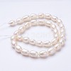 Natural Cultured Freshwater Pearl Beads Strands PEAR-P002-13-01-2