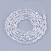 Transparent Glass Beads Strands GLAA-T009-004H-2