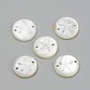 Freshwater Shell Links connectors SHEL-Q009-001P-1