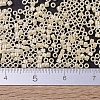 MIYUKI Delica Beads SEED-X0054-DB1560-3