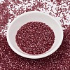 MIYUKI Delica Beads X-SEED-J020-DB1805-2